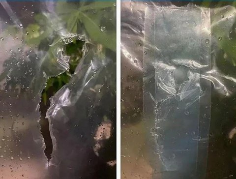 BEAST Taśma do folii szklarniowej naprawcza 100mmx10m transparentna BEAST Taśma do folii szklarniowej naprawcza 100mmx10m transparentna