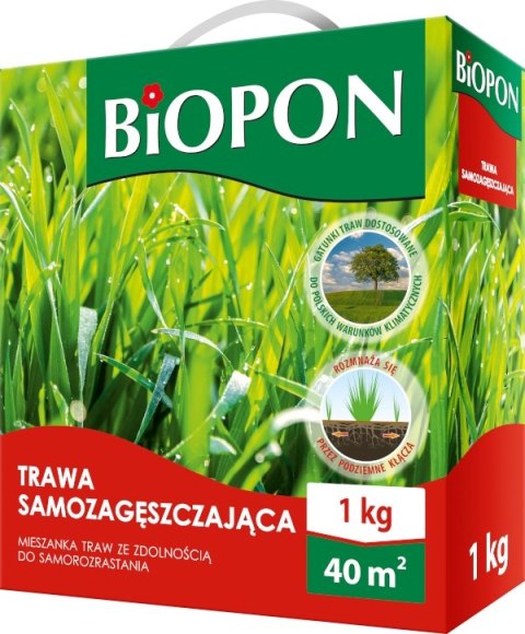 BIOPON TRAWA SAMOZAGĘSZCZAJĄCA 1 KG BIOPON TRAWA SAMOZAGĘSZCZAJĄCA 1 KG