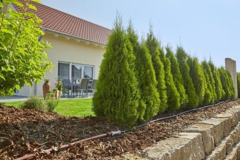GARDENA LINIA KROPLUJĄCA DO RZĘDÓW ROŚLIN - ZESTAW M MDS GARDENA LINIA KROPLUJĄCA DO RZĘDÓW ROŚLIN - ZESTAW M MDS