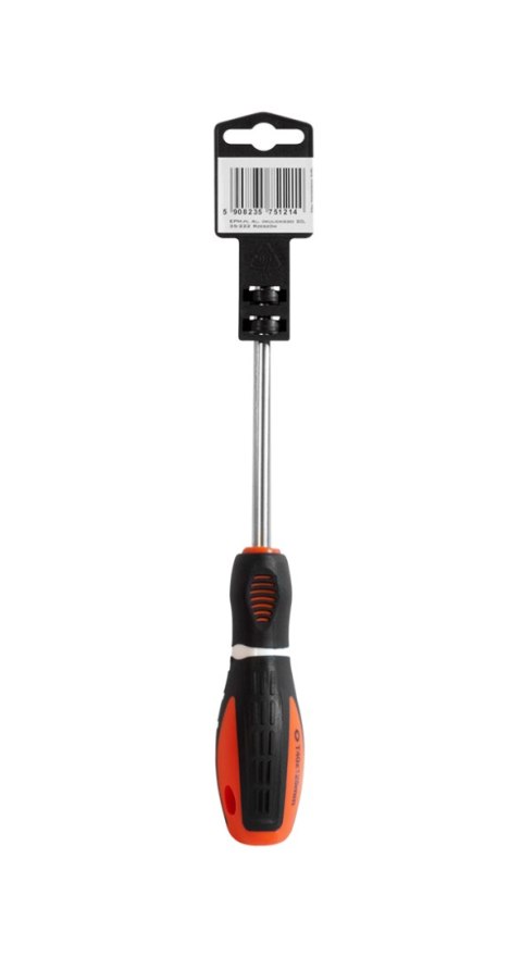 EPM WKRĘTAK TORX SERIA M3 5*100MM T10 EPM WKRĘTAK TORX SERIA M3 5*100MM T10