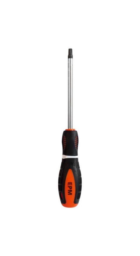 EPM WKRĘTAK TORX SERIA M3 6*100MM T27 EPM WKRĘTAK TORX SERIA M3 6*100MM T27