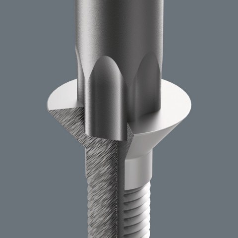 WERA WKŁADKA PIANKOWA Z WKRĘTAKAMI DO ŚRUB I WKRĘTÓW TORX 14CZ, WERA WKŁADKA PIANKOWA Z WKRĘTAKAMI DO ŚRUB I WKRĘTÓW TORX 14CZ,