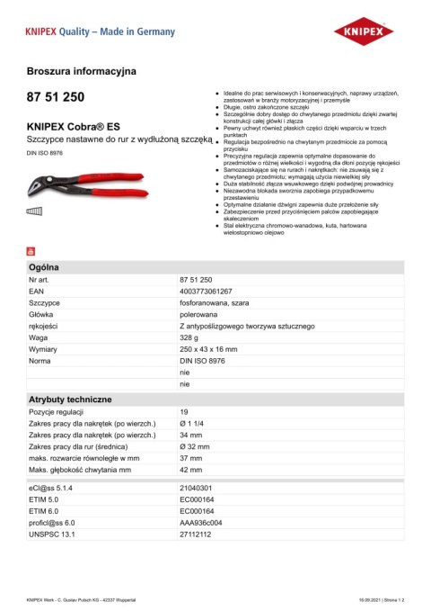 KNIPEX SZCZYPCE DO RUR COBRA Z WYDŁUŻONĄ SZCĘKĄ 250MM KNIPEX SZCZYPCE DO RUR COBRA Z WYDŁUŻONĄ SZCĘKĄ 250MM