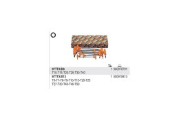 BETA KOMPLET KLUCZY TRZPIENIOWO-KĄTOWYCH TORX 6SZT.10-40MM