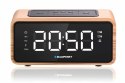 BLAUPUNKT RADIOBUDZIK FM PLL
