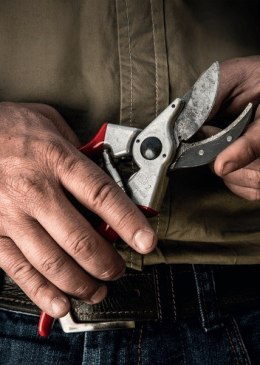 FELCO SEKATOR JEDNORĘCZNY - NOŻYCE DO PRZYCINANIA