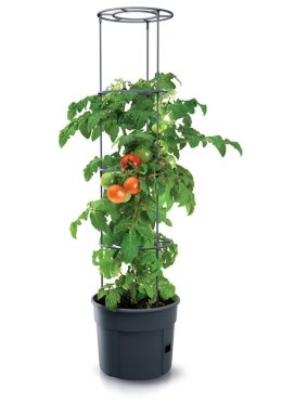 PROSPERPLAST DONICZKA TOMATO GROWER - ANTRACYTOWY 28L