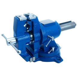 BEAST Imadło Obrotowe Wielofunkcyjne 100 mm 15.5 kg