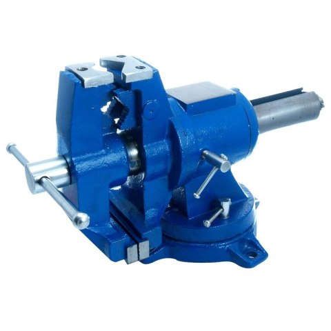 BEAST Imadło Obrotowe Wielofunkcyjne 100 mm 15.5 kg