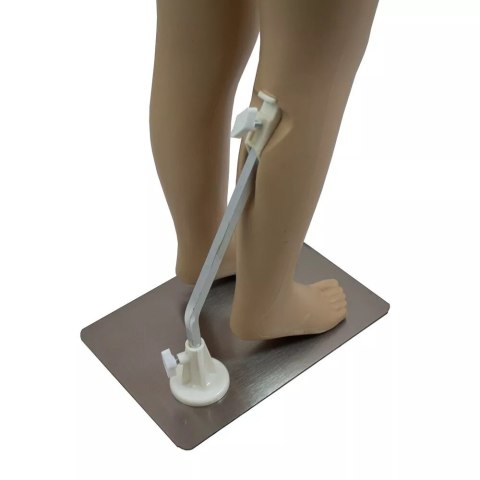 Bituxx Manekin Wystawowy Dziecięcy Dziewczynka 140 cm z Ruchomymi Rękami i Głową Bituxx Manekin Wystawowy Dziecięcy Dziewczynka 140 cm z Ruchomymi Rękami i Głową