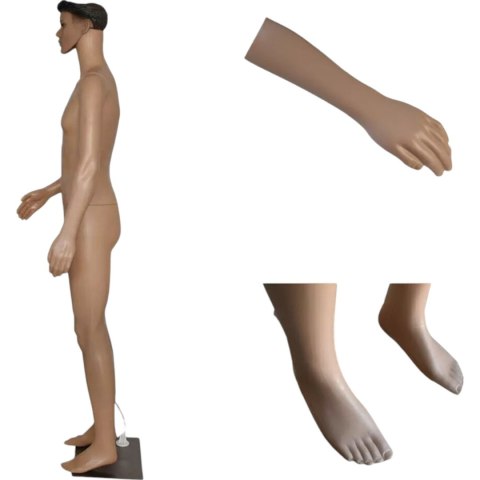 E-hurtownia Manekin męski 190 cm pełnopostaciowy realistyczny lekki demontowalny E-hurtownia Manekin męski 190 cm pełnopostaciowy realistyczny lekki demontowalny